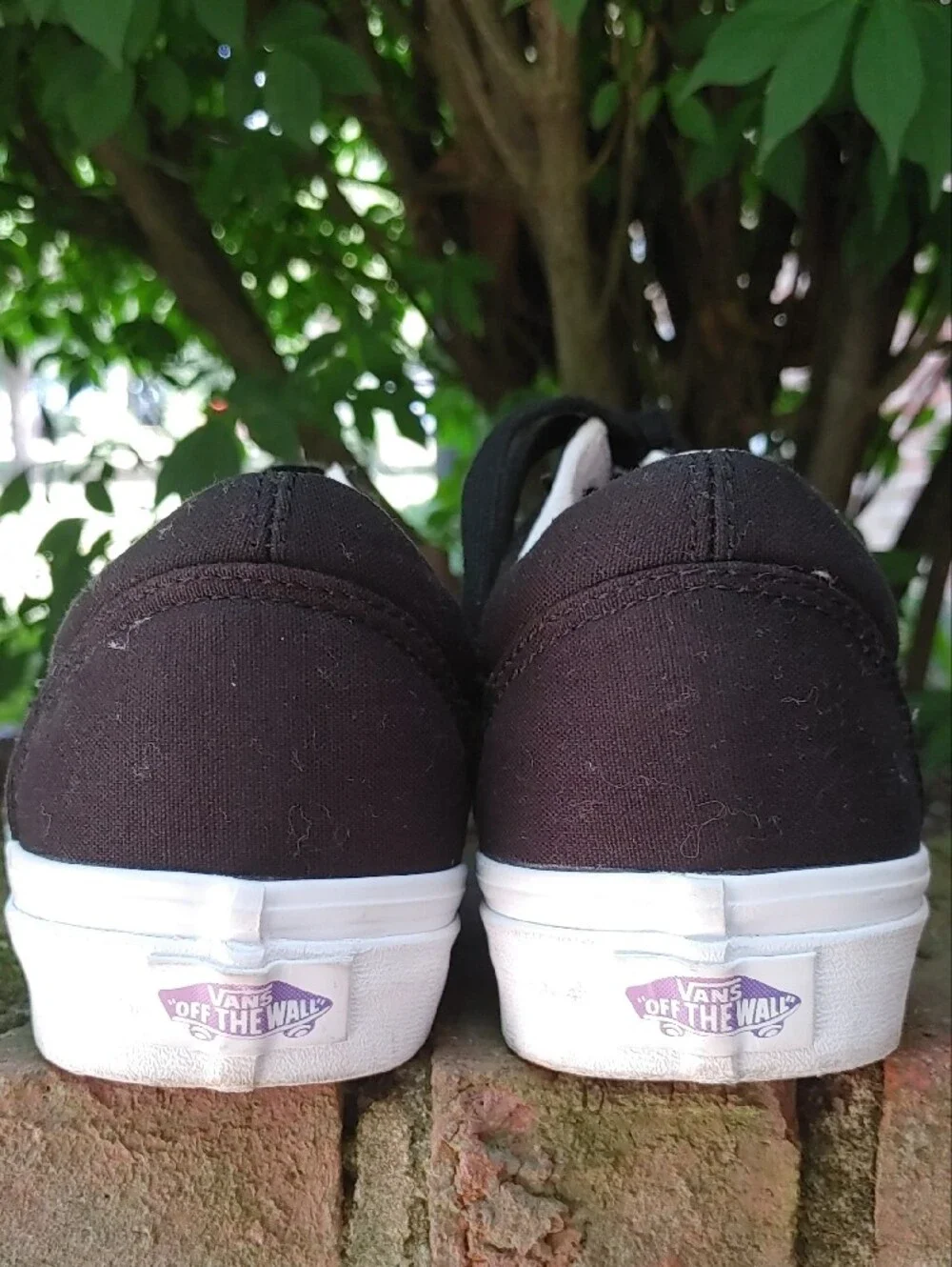 Vans Old Skool Cultivate Care Sneakers Size 8.5 (1050)
